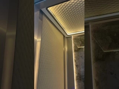 Gözlem / Panoramik Yüksek Hızlı Asansör Yolcu için Çoklu Model