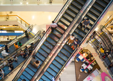 Alışveriş Merkezi İçin 30/35 Derece Modern Tasarım Yürüyen Merdiven Otomatik Mekanik Yürüyen Merdiven
