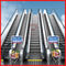 Alışveriş Arabası Asansörü Yüksek Hızlı Asansör Yükü 450 - 1600kg Tüketiciler İçin Uygun